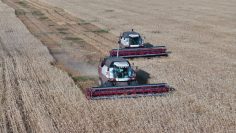 WhatsApp Image 2026-04-21 at 10.46.47