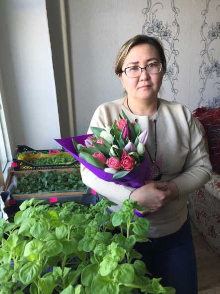 Гульмира Бегалиева успешно поэкспериментировала, вырастив тюльпаны в домашних условиях