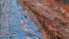 WhatsApp Image 2025-12-19 at 09.55.56