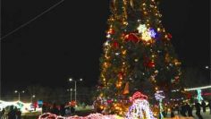 WhatsApp Image 2025-12-29 at 17.53.32