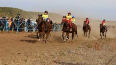 WhatsApp Image 2026-01-05 at 12.31.13 (1)