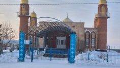 WhatsApp Image 2026-02-20 at 10.28.33