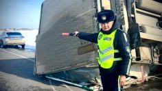 WhatsApp Image 2026-02-23 at 09.29.49