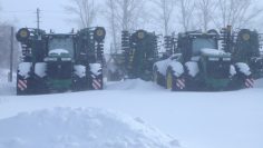 WhatsApp Image 2026-03-26 at 17.15.05