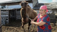 WhatsApp Image 2026-03-27 at 09.44.34