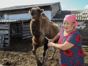 WhatsApp Image 2026-03-27 at 09.44.34