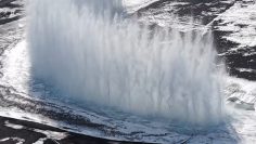 WhatsApp Image 2026-03-30 at 11.41.27