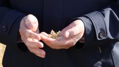 WhatsApp Image 2026-04-02 at 11.20.50