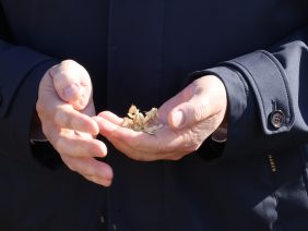 WhatsApp Image 2026-04-02 at 11.20.50