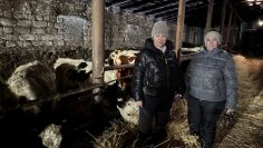 WhatsApp Image 2026-04-24 at 15.35.10