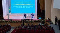 WhatsApp Image 2025-11-26 at 17.43.16