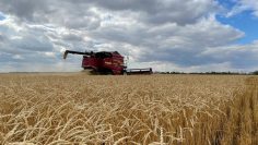 WhatsApp Image 2026-03-12 at 12.38.55