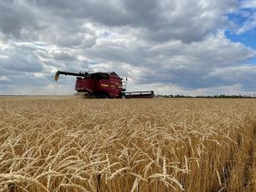 WhatsApp Image 2026-03-12 at 12.38.55