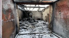 WhatsApp Image 2026-01-30 at 16.53.21 (1)