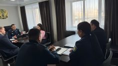 WhatsApp Image 2026-01-30 at 17.03.12