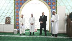 WhatsApp Image 2026-02-11 at 09.31.12