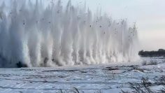 WhatsApp Image 2026-03-19 at 15.03.22