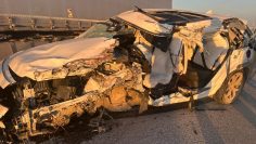 WhatsApp Image 2026-03-31 at 14.04.58 (1)