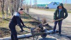 WhatsApp Image 2026-04-10 at 17.03.26