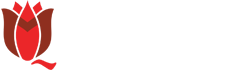 Главные новости Костанайского района - Qostanai Media
