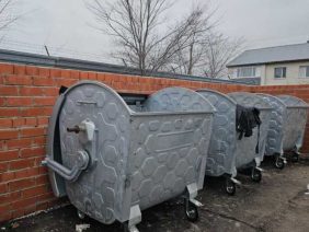 whatsapp-image-2025-12-08-at-10.03.02-4-810×746