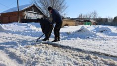 WhatsApp Image 2026-03-17 at 13.02.29