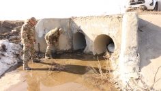 WhatsApp Image 2026-04-02 at 15.25.41 (1)