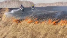 WhatsApp Image 2026-04-15 at 17.06.13