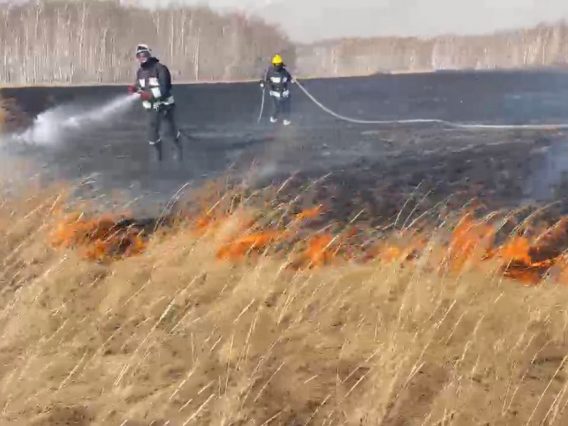 WhatsApp Image 2026-04-15 at 17.06.13