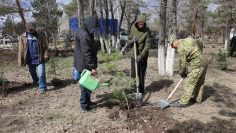 WhatsApp Image 2026-04-22 at 19.08.37 (1)