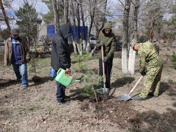 WhatsApp Image 2026-04-22 at 19.08.37 (1)