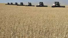 9f6d9d82-94b6-47f0-ae8b-4a6c61ad4732