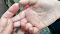 WhatsApp Image 2026-02-10 at 10.50.02