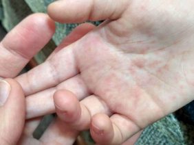 WhatsApp Image 2026-02-10 at 10.50.02