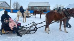 WhatsApp Image 2026-02-20 at 09.47.06 (1)