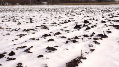 WhatsApp Image 2026-03-17 at 10.10.16