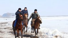 WhatsApp Image 2026-03-20 at 23.03.32