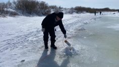 WhatsApp Image 2026-03-26 at 11.16.07