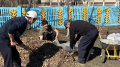 WhatsApp Image 2026-04-08 at 09.26.27