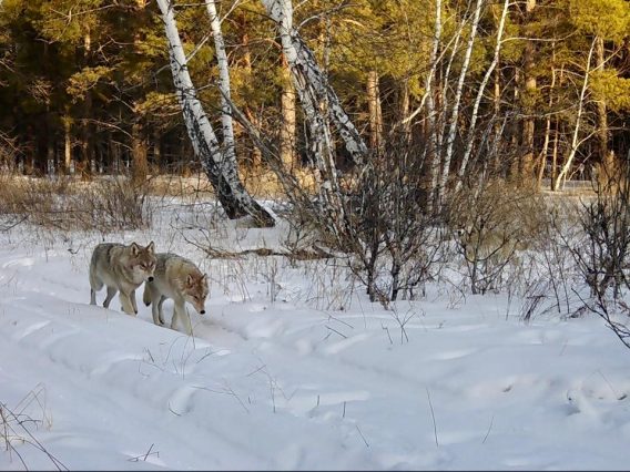 WhatsApp Image 2026-04-10 at 11.54.40