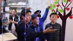 WhatsApp Image 2026-04-24 at 12.49.16