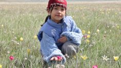 WhatsApp Image 2026-04-28 at 12.41.21 (2)