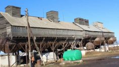 WhatsApp Image 2025-11-24 at 11.09.10