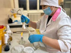 WhatsApp Image 2025-12-08 at 12.14.00