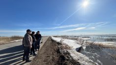 WhatsApp Image 2026-04-02 at 17.20.41 (1)