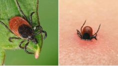 WhatsApp Image 2026-04-22 at 15.23.32