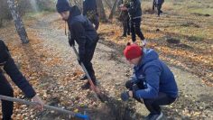 5a1d5ece-441c-4c79-b761-4bf53506565d