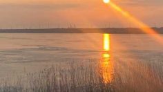 WhatsApp Image 2025-11-24 at 16.11.41