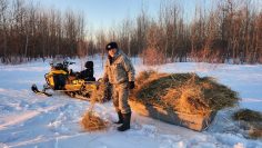 WhatsApp Image 2026-02-04 at 13.58.18