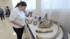 WhatsApp Image 2026-02-24 at 08.24.24